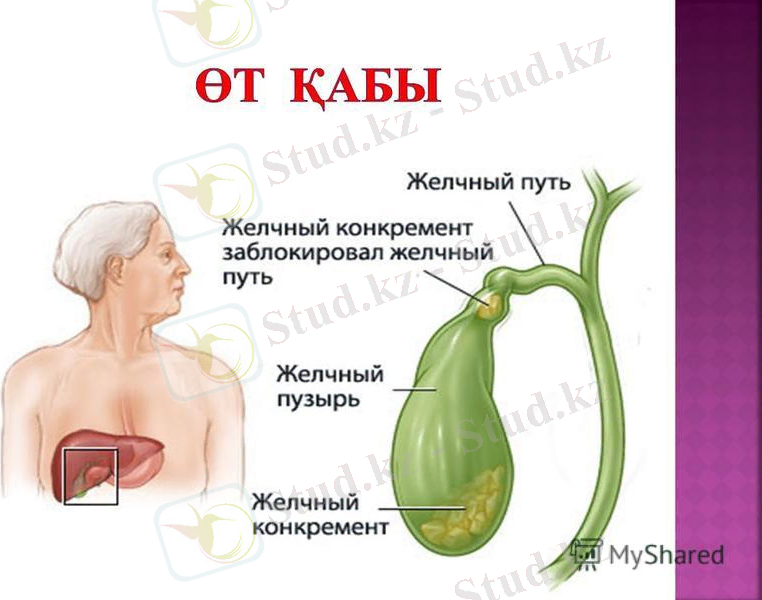 C:\Users\Канат\AppData\Local\Microsoft\Windows\INetCache\Content.Word\slide_4 (1).jpg