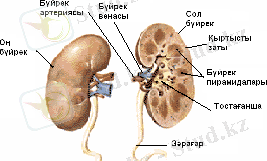 htmlconvd-2AZr1e_html_m43b0ca7