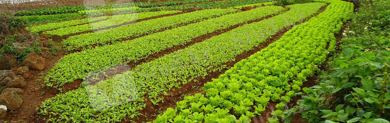 Картинки по запросу земледелие