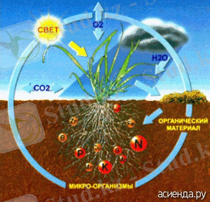 Картинки по запросу законы земледелия