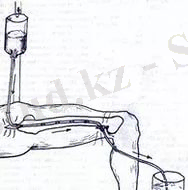 C:\Users\Дана New\Downloads\74ZCAFIB0BLCADG7H2DCANE24M6CAOKVH5UCAYODFX4CAT0AOHMCAOM9LWUCAQDJO1WCAHDYG4OCAVAQ6T6CA3FRNBWCAO7OA7YCAU0I3F0CAOOMLJWCAC5M28JCA4W40S0CASOEQJRCAGK401UCANX8LPK.jpg