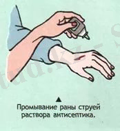 C:\Users\Дана New\Downloads\i.jpg