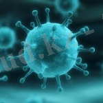 Похожее изображение