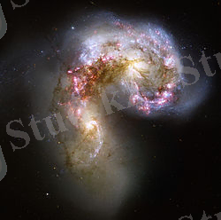 G:\new g\NGC4038sn.jpg