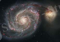 G:\new g\NGC5194sn.jpg