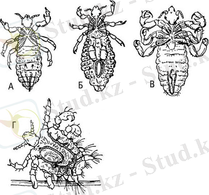 Картинка 23 из 12961