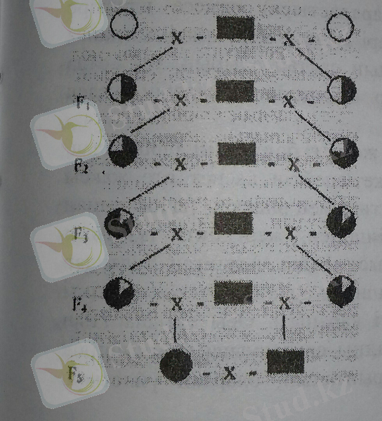 C:\Users\Менин компьютерим\Desktop\8hrtHVa69Vo.jpg