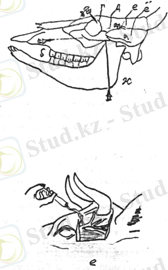 C:\Documents and Settings\Admin\Рабочий стол\4.bmp