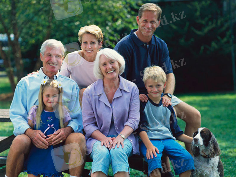 Картинки по запросу патриархальная семья