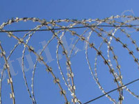 Картинки по запросу пенитенциарная система