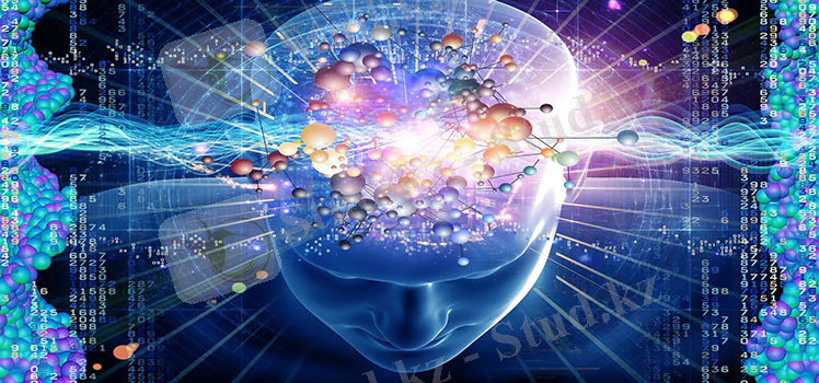 Картинки по запросу право и разум