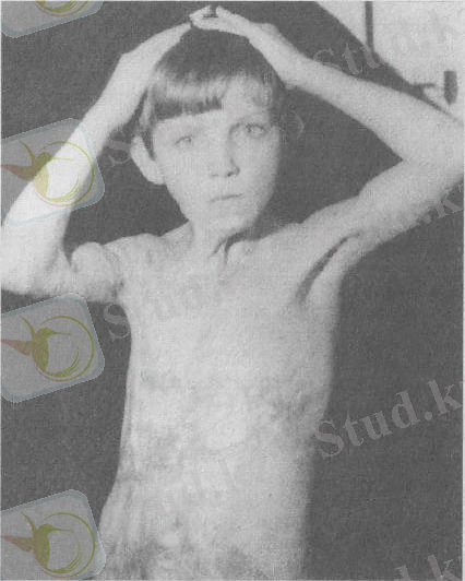 c:\documents and settings\открыть\local settings\temporary internet files\content.word\1 036.jpg