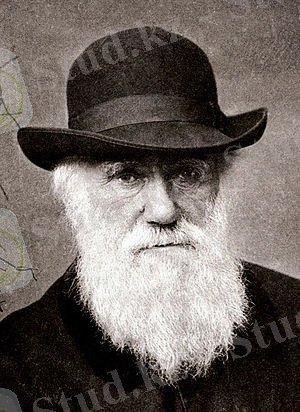 http://upload.wikimedia.org/wikipedia/commons/thumb/4/45/Charles_Darwin_1880.jpg/300px-Charles_Darwin_1880.jpg