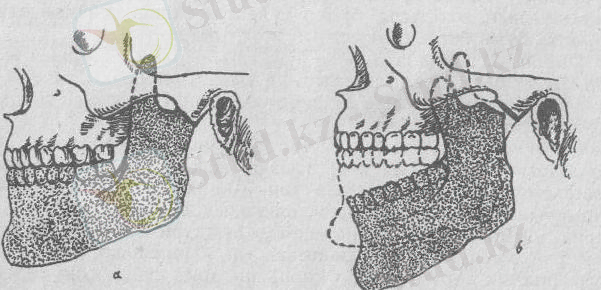 c:\documents and settings\открыть\local settings\temporary internet files\content.word\1 037.jpg