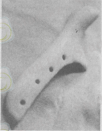 c:\documents and settings\открыть\local settings\temporary internet files\content.word\1 037.jpg