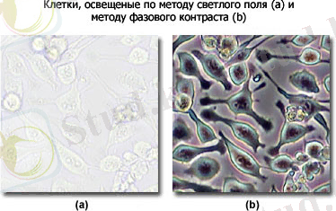 микроскоп и методы