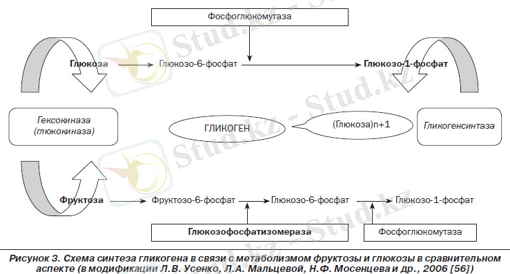 Картинки по запросу фруктоземия