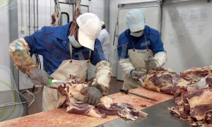 Қытай инвесторлары Шығыс Қазақстанда ет комбинатын ашады