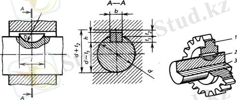 C:\Documents and Settings\Admin\Рабочий стол\129.jpg