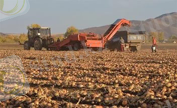 C:\Users\Admin\Desktop\i (1).jpg