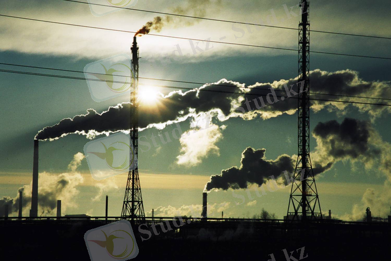 C:\Users\Tylegen Tymuruly\Desktop\72944436.jpg