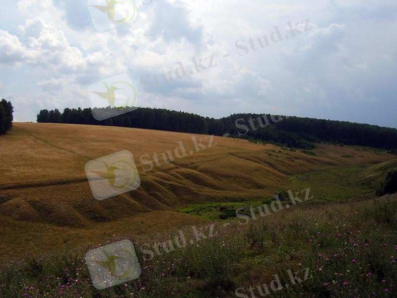 ÐÐ¾ÑÐ¾Ð¶ÐµÐµ Ð¸Ð·Ð¾Ð±ÑÐ°Ð¶ÐµÐ½Ð¸Ðµ