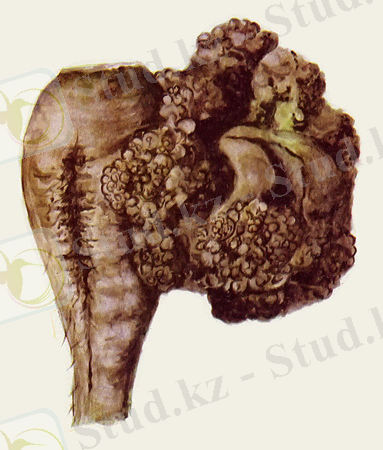 Похожее изображение