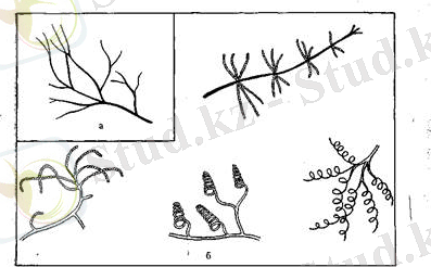 Похожее изображение