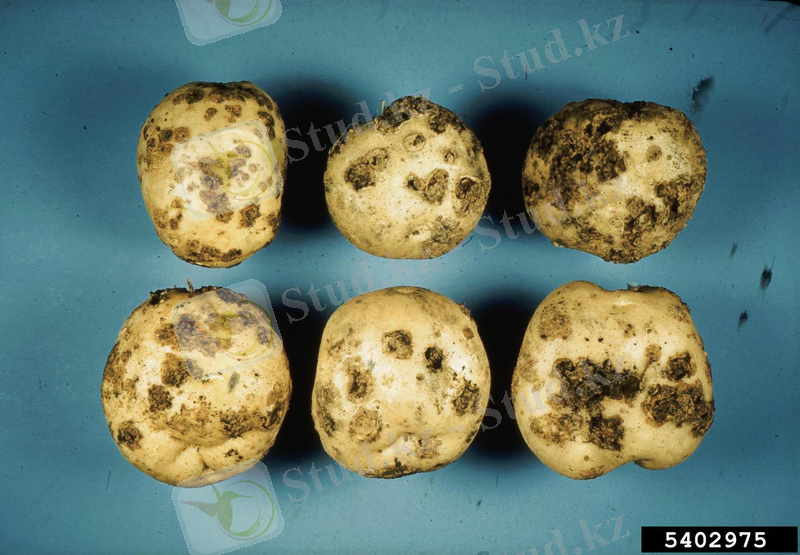 Похожее изображение