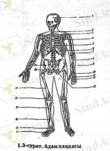 C:\Users\User\Desktop\Новая папка (3)\IMG-20150202-WA0006.jpg