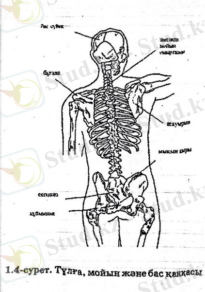 C:\Users\User\Desktop\Новая папка (3)\IMG-20150202-WA0005.jpg