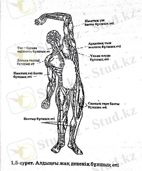 C:\Users\User\Desktop\Новая папка (3)\IMG-20150202-WA0001.jpg