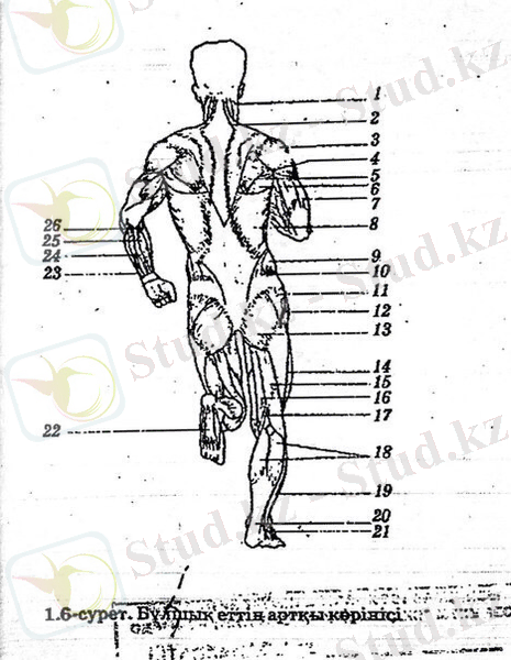 C:\Users\User\Desktop\Новая папка (3)\IMG-20150202-WA0007.jpg