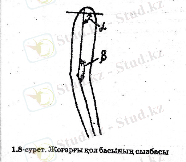 C:\Users\User\Desktop\Новая папка (3)\IMG-20150202-WA0004.jpg