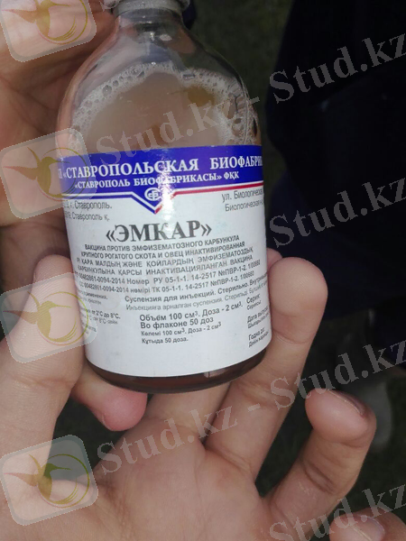 E:\Desktop\Новая папка\VRKA6946.jpg