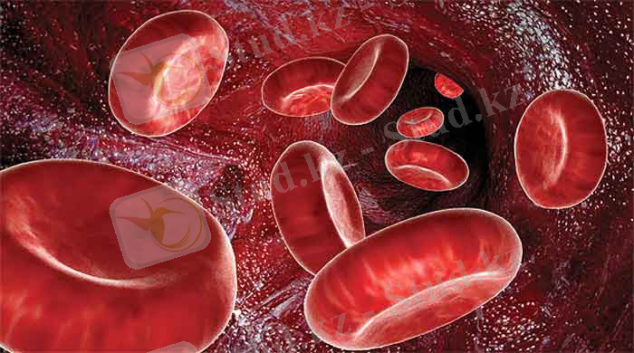 ÐÐ¾ÑÐ¾Ð¶ÐµÐµ Ð¸Ð·Ð¾Ð±ÑÐ°Ð¶ÐµÐ½Ð¸Ðµ