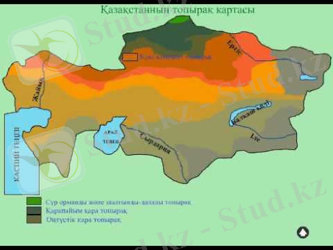 Картинки по запросу топыра0