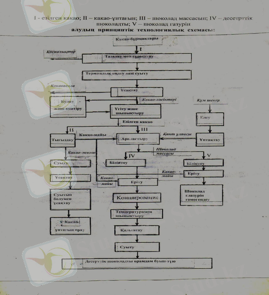 D:\схема шоколада сканер.jpg