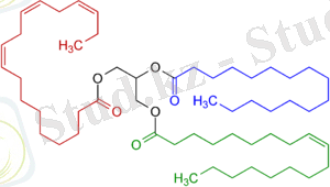 300px-Triglyceride_Structural_Formulae_V.1.png