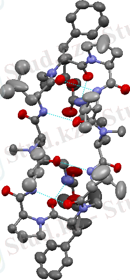 C:\Users\АНАРА\Downloads\Crystal_structure_of_modified_Gramicidin_S.png