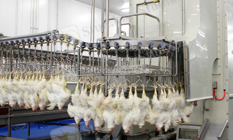 http://marel.com/images/products/poultry-processing/aeroscalder-large-1.jpg