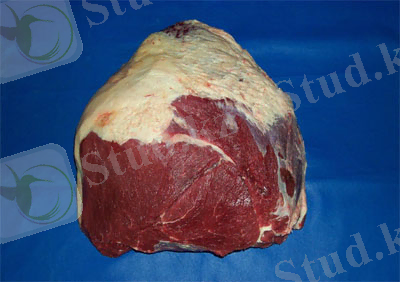 говяжий жир.jpg