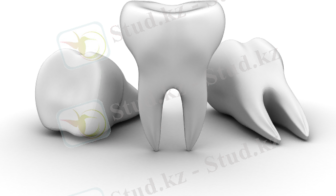 C:\Users\Роза\Desktop\Стом2курс ,,,\1342597851_subi.jpg