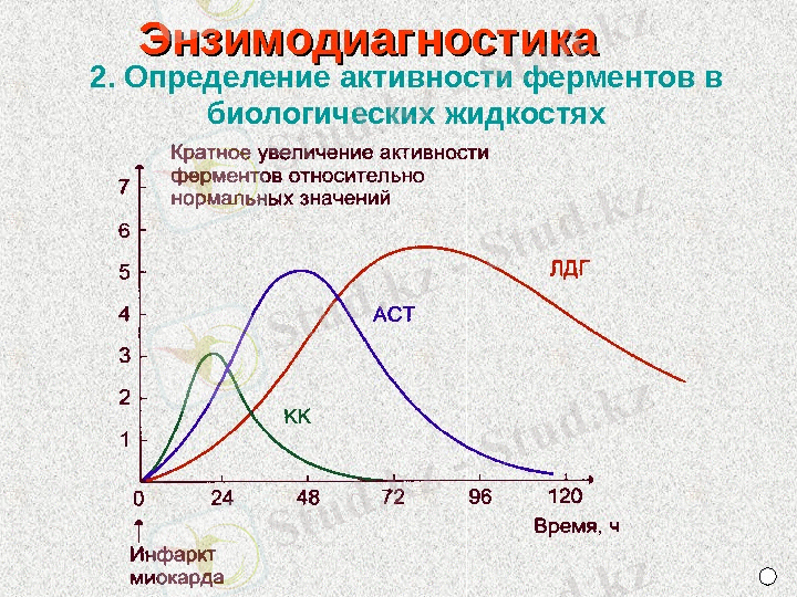 fermenty_i_bo_dlya_farm_zaoch_30