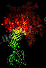 ÐÐ°ÑÑÐ¸Ð½ÐºÐ¸ Ð¿Ð¾ Ð·Ð°Ð¿ÑÐ¾ÑÑ Ð³Ð»Ð¸ÐºÐ¾Ð¿ÑÐ¾ÑÐµÐ¸Ð´ÑÐµÑ