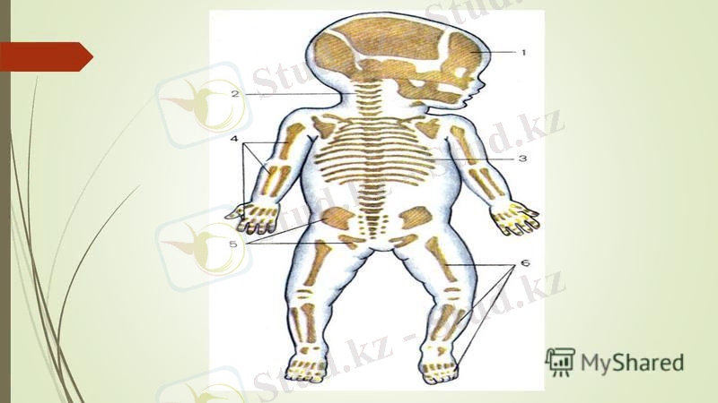 ÐÐ¾ÑÐ¾Ð¶ÐµÐµ Ð¸Ð·Ð¾Ð±ÑÐ°Ð¶ÐµÐ½Ð¸Ðµ