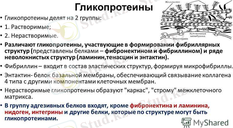 http://images.myshared.ru/28/1304368/slide_32.jpg
