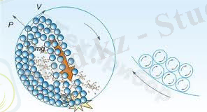 C:\Users\Айдана\Downloads\images (4).jpg