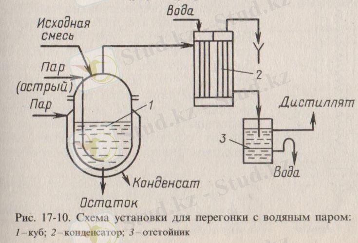 вод пар 001.jpg