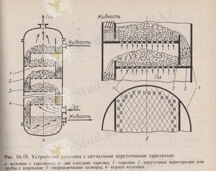 ситчатые 001.jpg